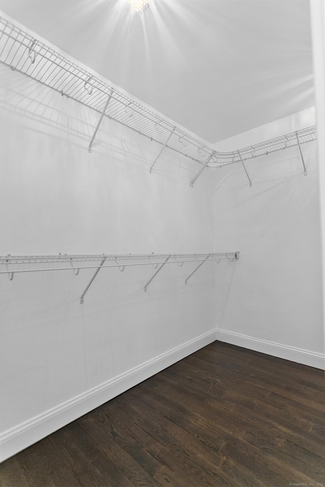 spacious closet with dark wood-type flooring