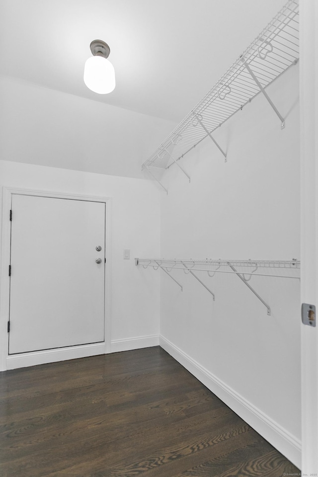 walk in closet featuring dark wood finished floors