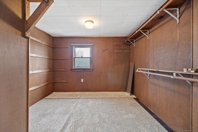 walk in closet featuring carpet flooring