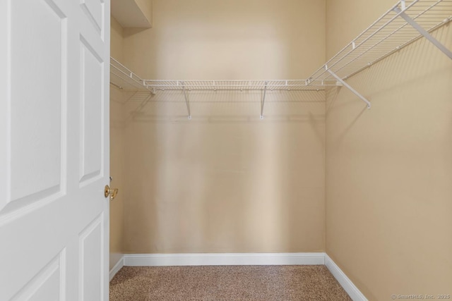 spacious closet with carpet floors