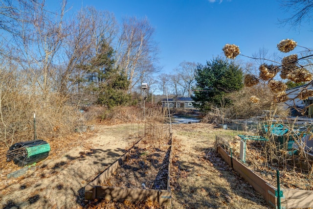 view of yard with a garden