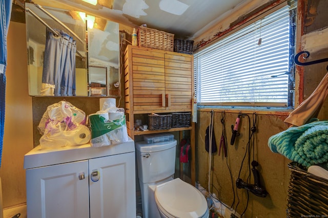 bathroom with toilet and vanity