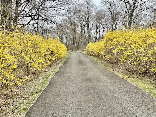 view of road