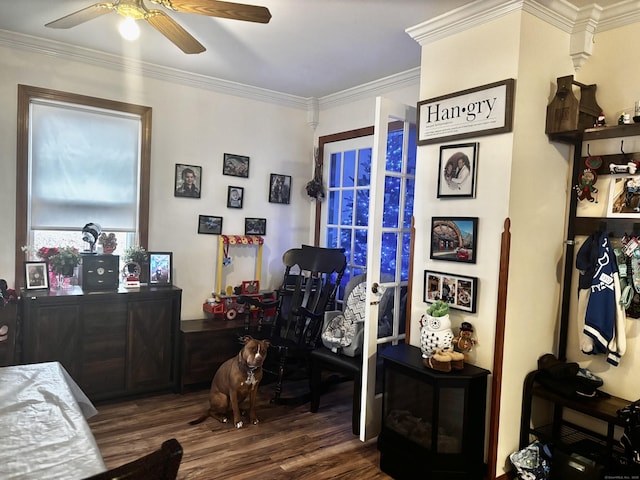 interior space featuring dark wood finished floors, crown molding, and ceiling fan