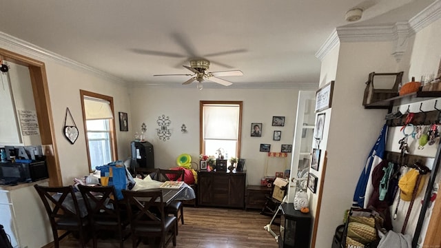 dining area featuring dark wood finished floors, crown molding, and ceiling fan