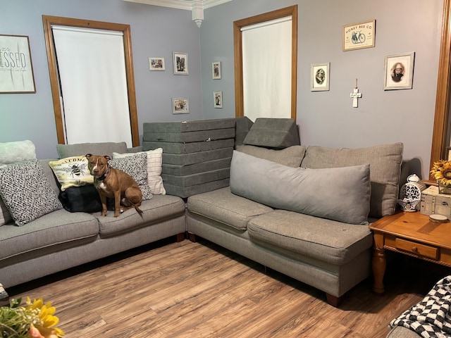 living room with crown molding and wood finished floors