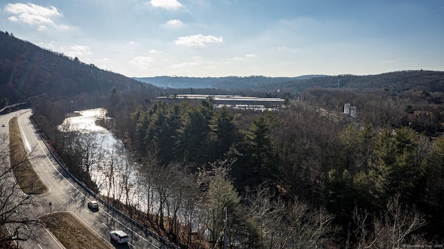 mountain view with a wooded view