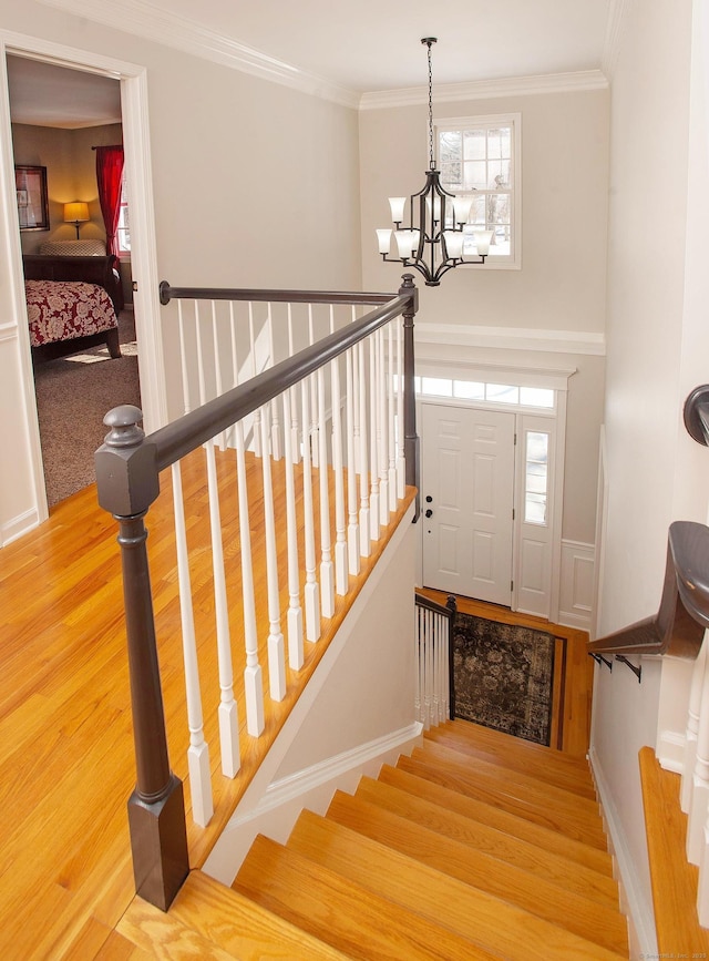 stairs with crown molding, an inviting chandelier, and wood finished floors