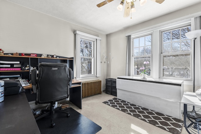 carpeted office with a wealth of natural light, ceiling fan, a textured ceiling, and radiator heating unit