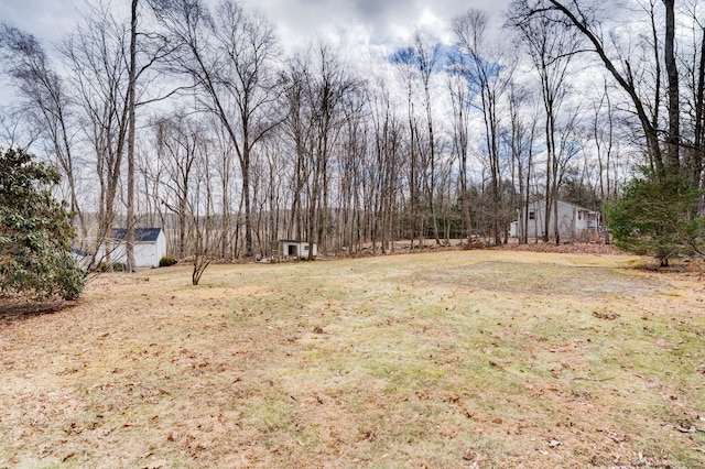 view of yard featuring an outbuilding and a shed