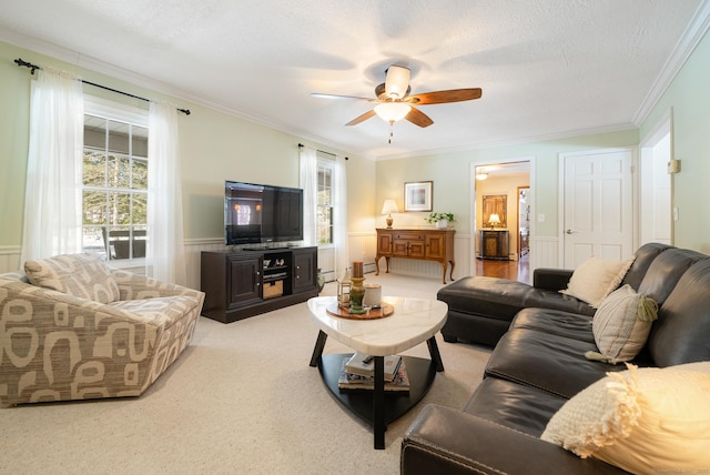 living area featuring light colored carpet, wainscoting, plenty of natural light, and a textured ceiling