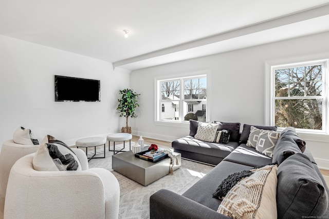 living area with baseboards and wood finished floors