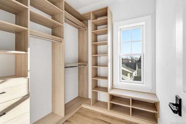 spacious closet featuring light wood-style flooring