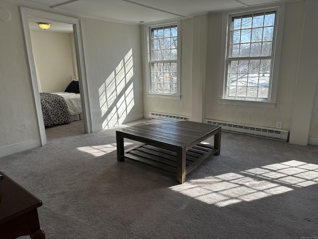 interior space featuring a baseboard radiator, a healthy amount of sunlight, and carpet flooring