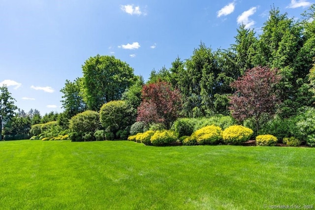 262 Brushy Ridge Rd, New Canaan, CT 06840 - view of grassy yard