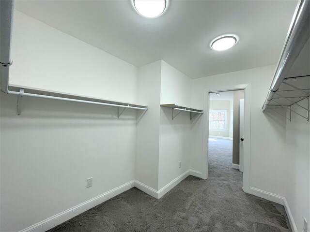 157R Sumner Wood Rd, Durham, CT 06422 - spacious closet featuring carpet