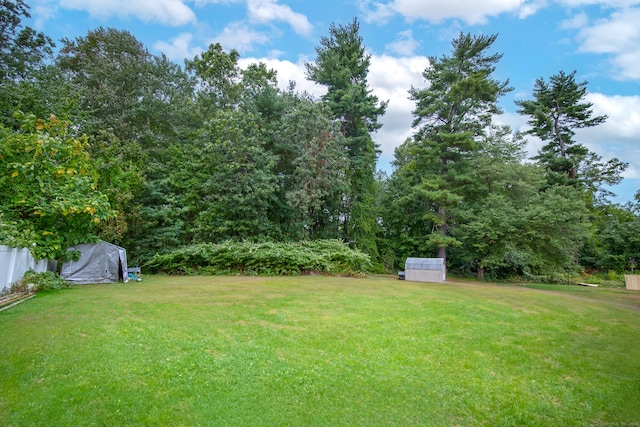 view of yard with an outbuilding and a storage shed