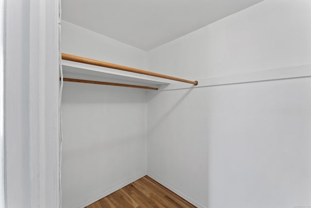 spacious closet featuring wood finished floors