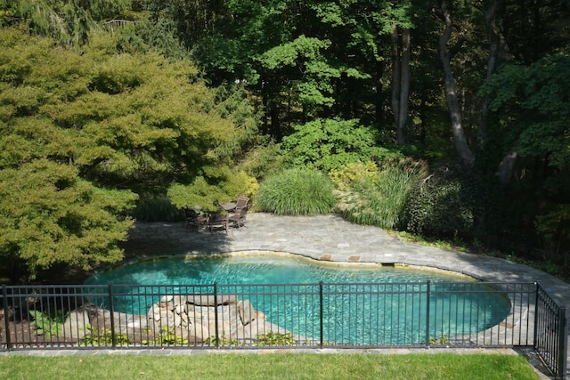 view of pool with a patio area and a fenced in pool