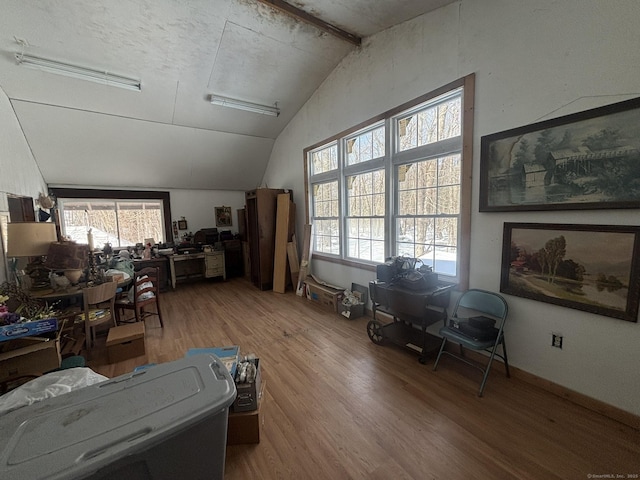 miscellaneous room featuring lofted ceiling and wood finished floors