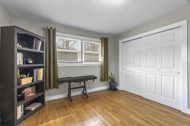 interior space with a closet, baseboards, and wood finished floors