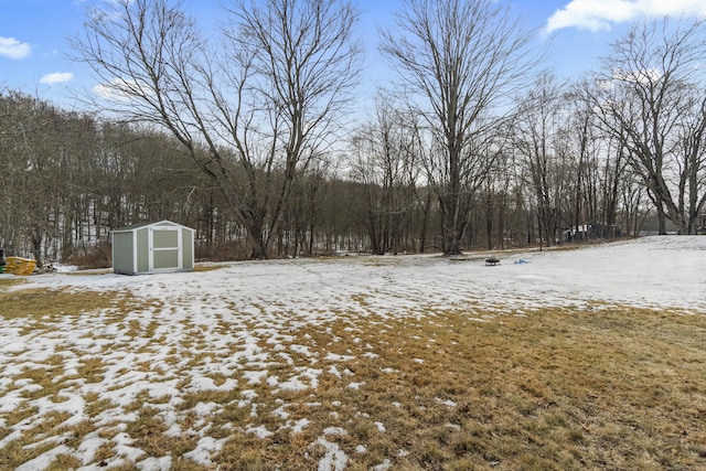 yard layered in snow with a shed and an outdoor structure