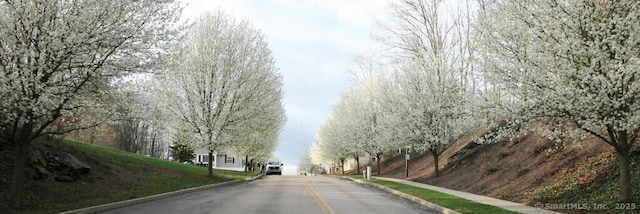 view of street featuring curbs and sidewalks