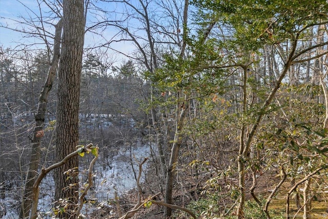 view of water feature featuring a wooded view