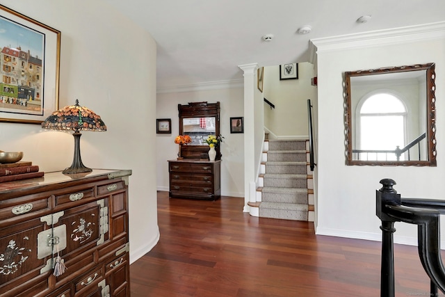 foyer featuring dark wood-type flooring, ornamental molding, stairway, and baseboards