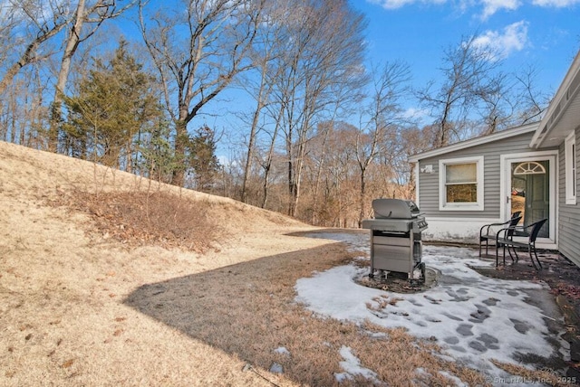 view of yard with a patio