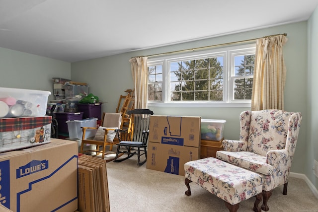 living area featuring carpet floors