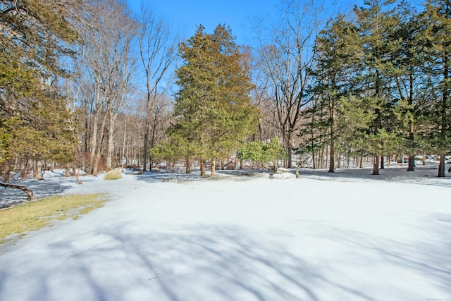 view of yard covered in snow