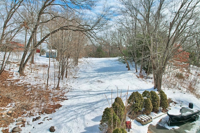 view of snowy yard