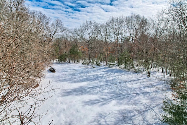 view of yard covered in snow