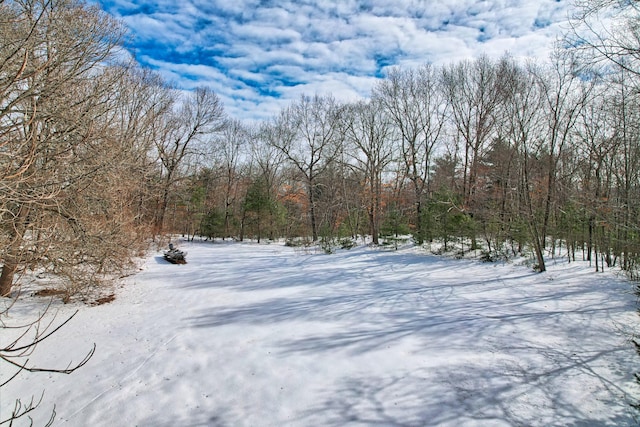 snowy yard with a forest view