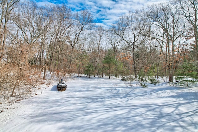 view of yard covered in snow