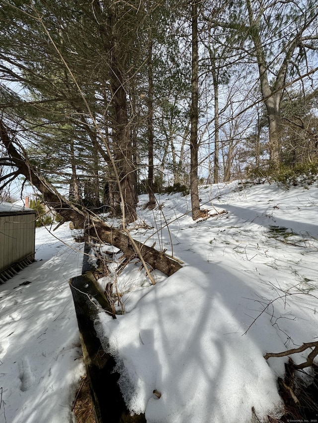 view of snowy yard