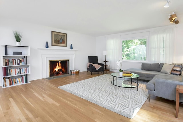 living area with a fireplace with flush hearth and wood finished floors