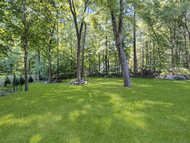 view of yard with a forest view