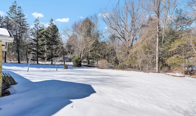 view of snowy yard