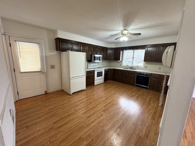 kitchen with light countertops, white appliances, light wood-type flooring, and dark brown cabinetry