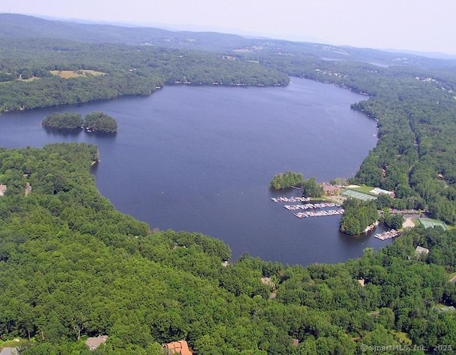 drone / aerial view featuring a water view and a view of trees