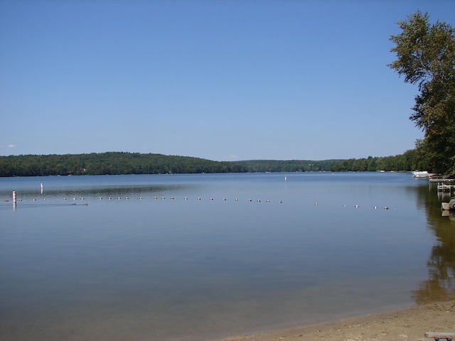 water view featuring a forest view