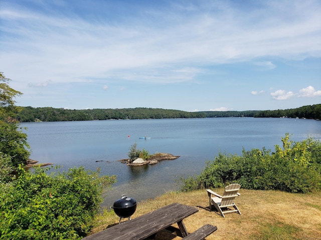 water view with a view of trees