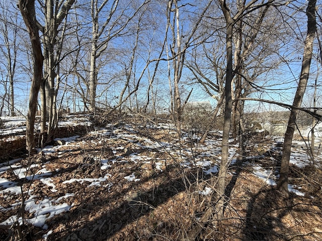 view of snowy landscape