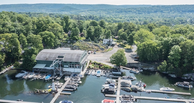 birds eye view of property featuring a water view and a wooded view