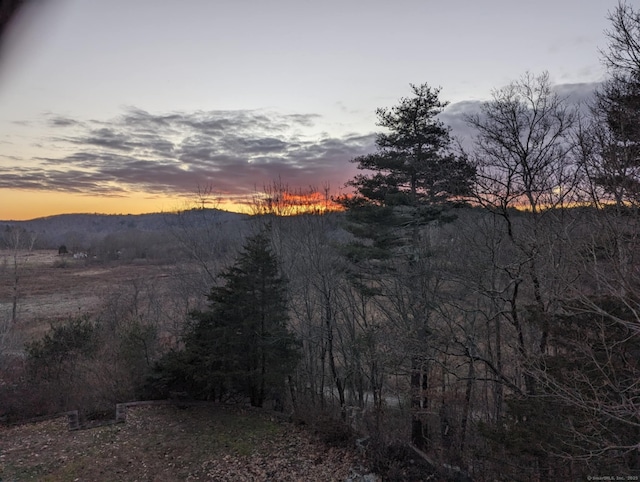 view of mountain feature