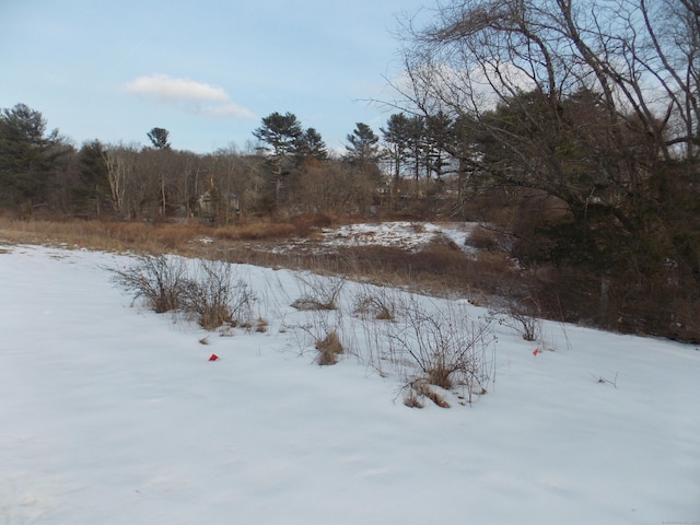 view of yard covered in snow