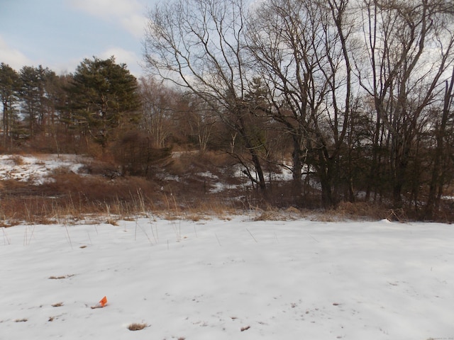 view of snowy yard