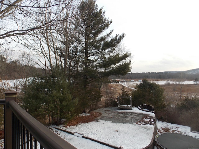 view of snowy yard